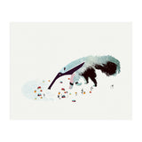 Anteater (Print Only) thumbnail