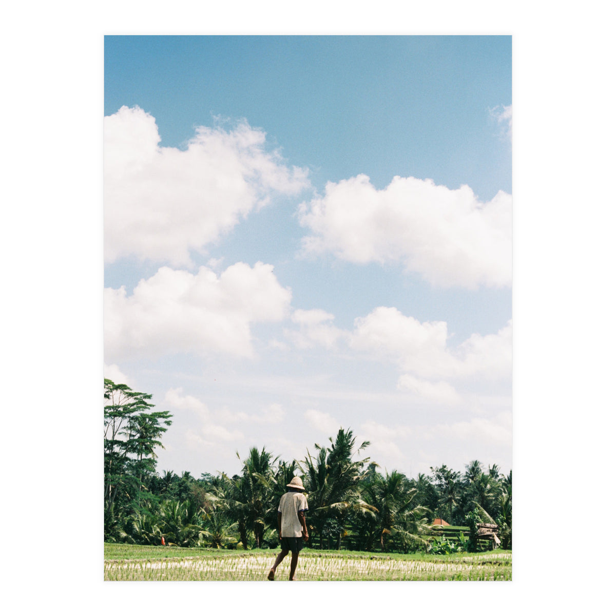 UBUD (Print Only)
