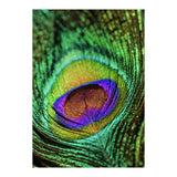 Peacock feather (Print Only) thumbnail