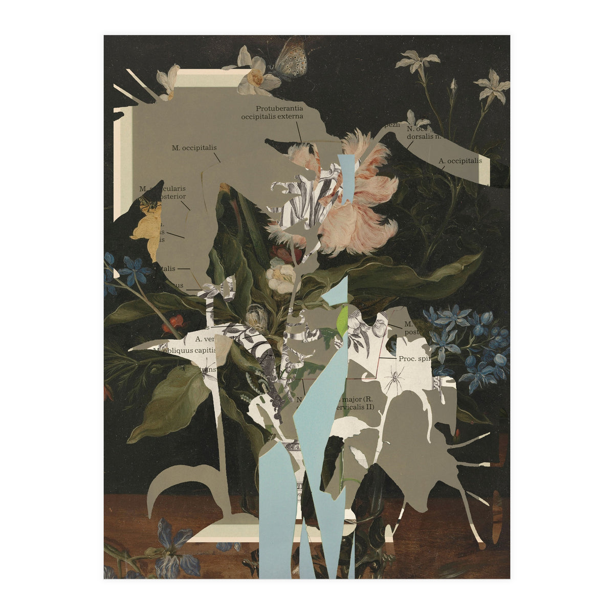 The First Plant · D2 (Print Only)