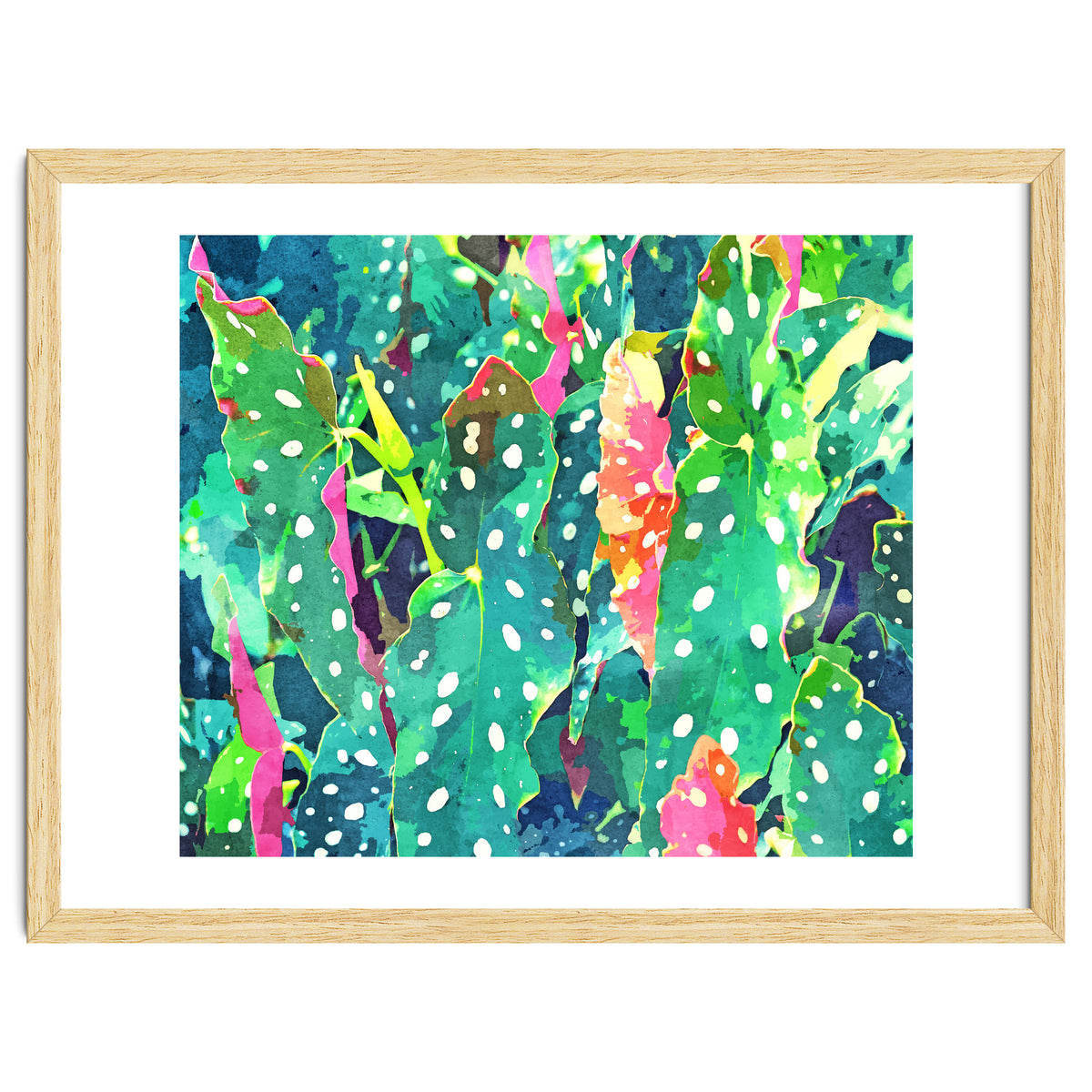 The Polka Dots Plant