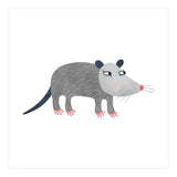 Possum (Print Only) thumbnail