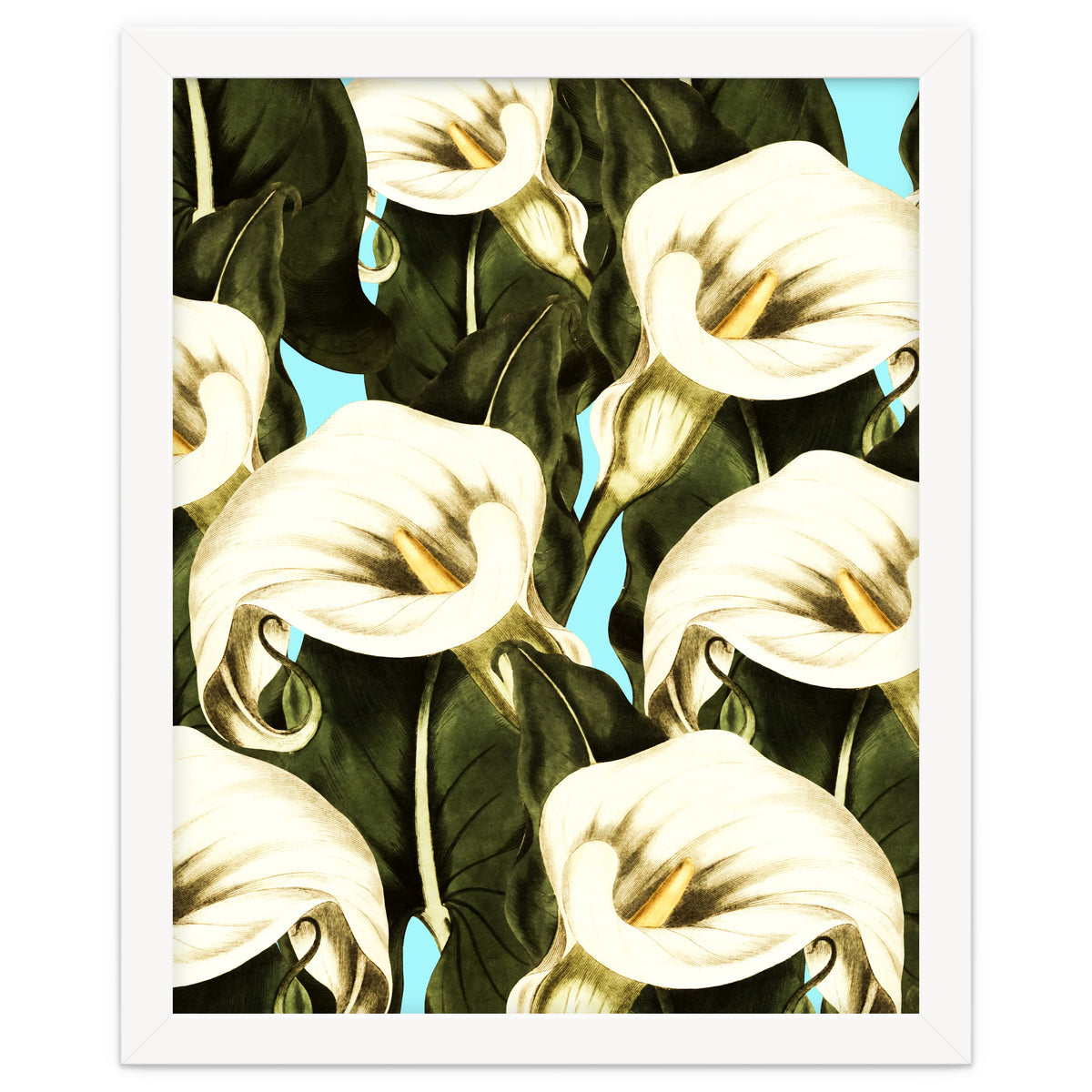 Pattern floral Ethiopian-Calla