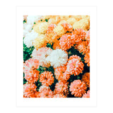 Garden Song (Print Only) thumbnail