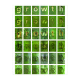 growth (Print Only) thumbnail