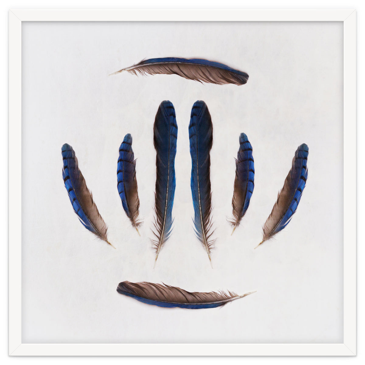 Forgive Me For Forgetting