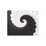 Mono Chrome Spiral Pattern  (Print Only) thumbnail
