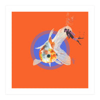 Koi Carp N Diver (Print Only)