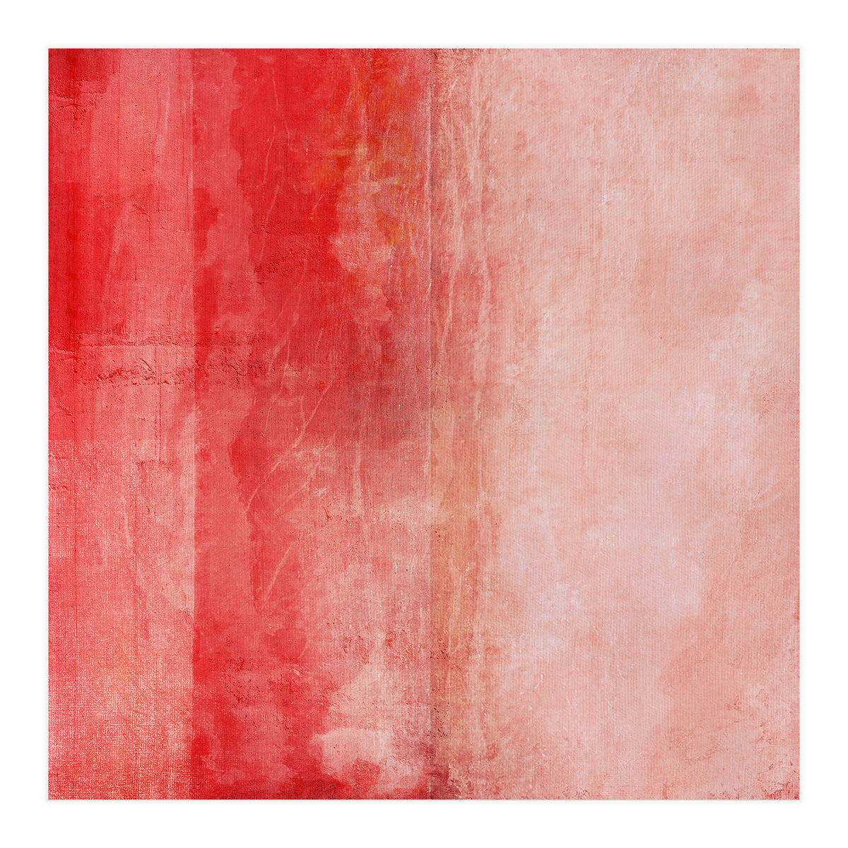 Pink Liquor (Print Only)