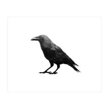 Crowscape (Print Only) thumbnail