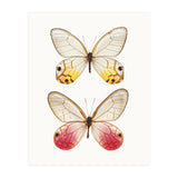 Cc Butterflies 04 (Print Only) thumbnail