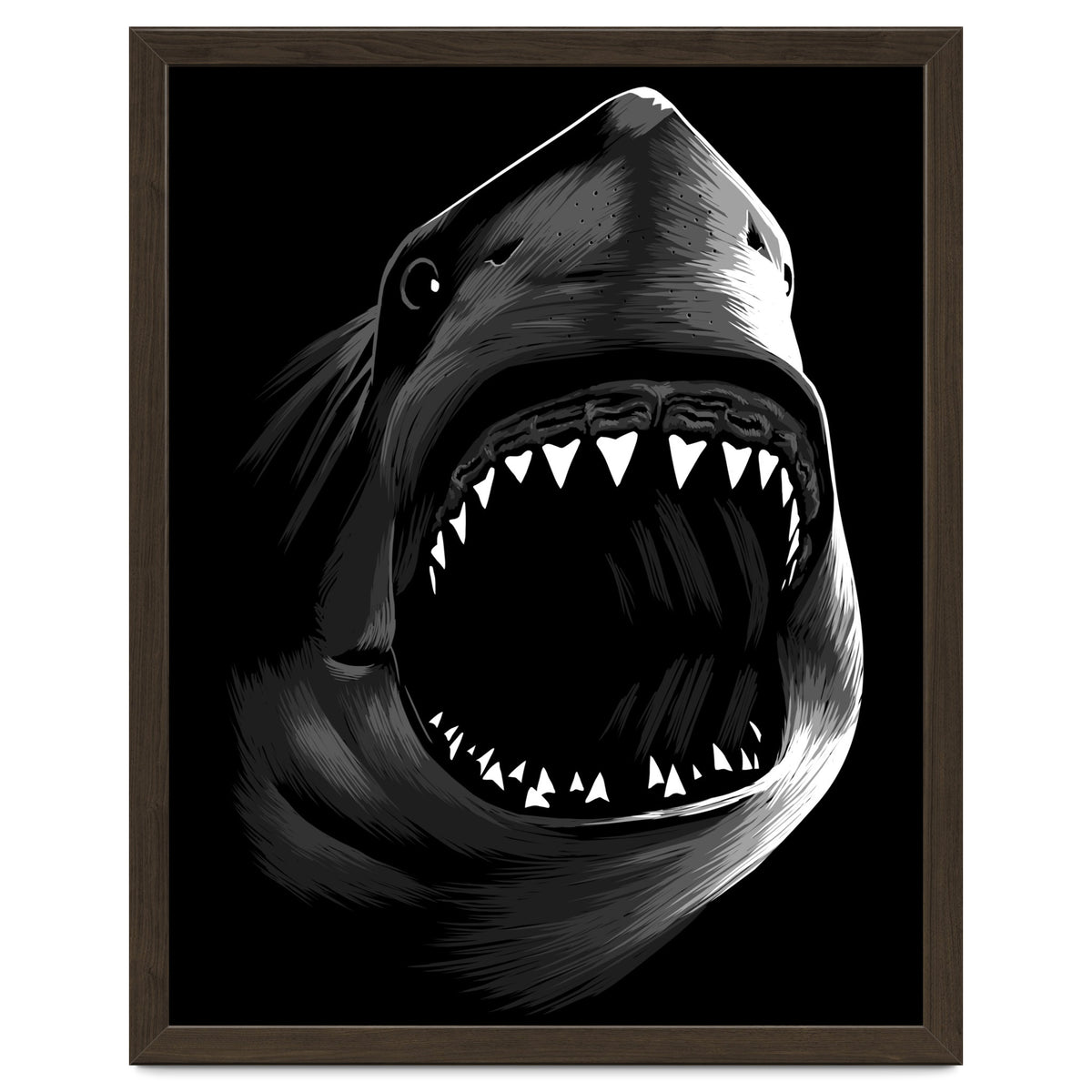 Megalodon