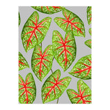 Expression Of Peace (Print Only) thumbnail