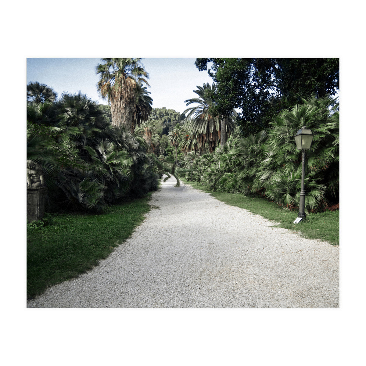 Fuckin' Fossil (Print Only)