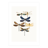 Cc Insects 10 (Print Only) thumbnail