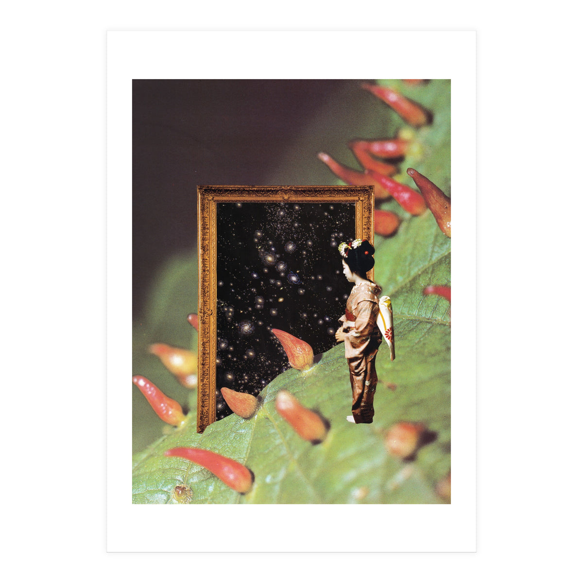 Cosmology (Print Only)