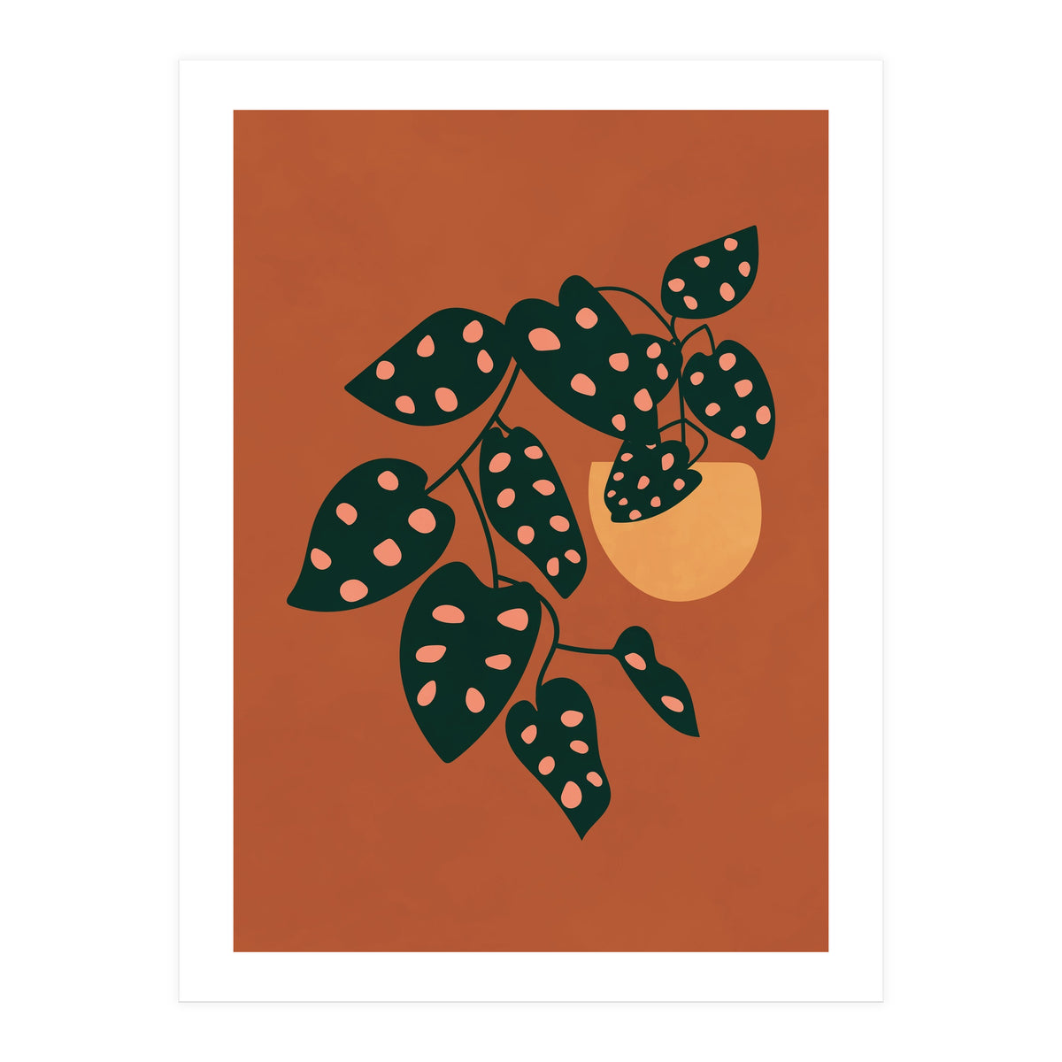 Monstera Adansonii (Print Only)