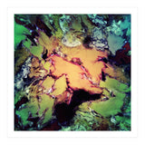 Bathe (Print Only) thumbnail