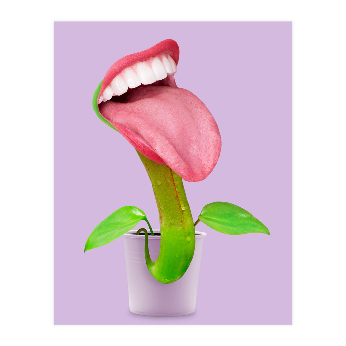 Carnivorous Plant (Print Only)