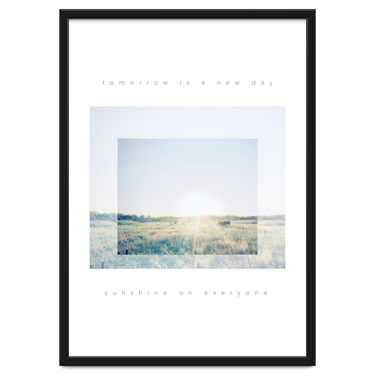 sunshine on everyone