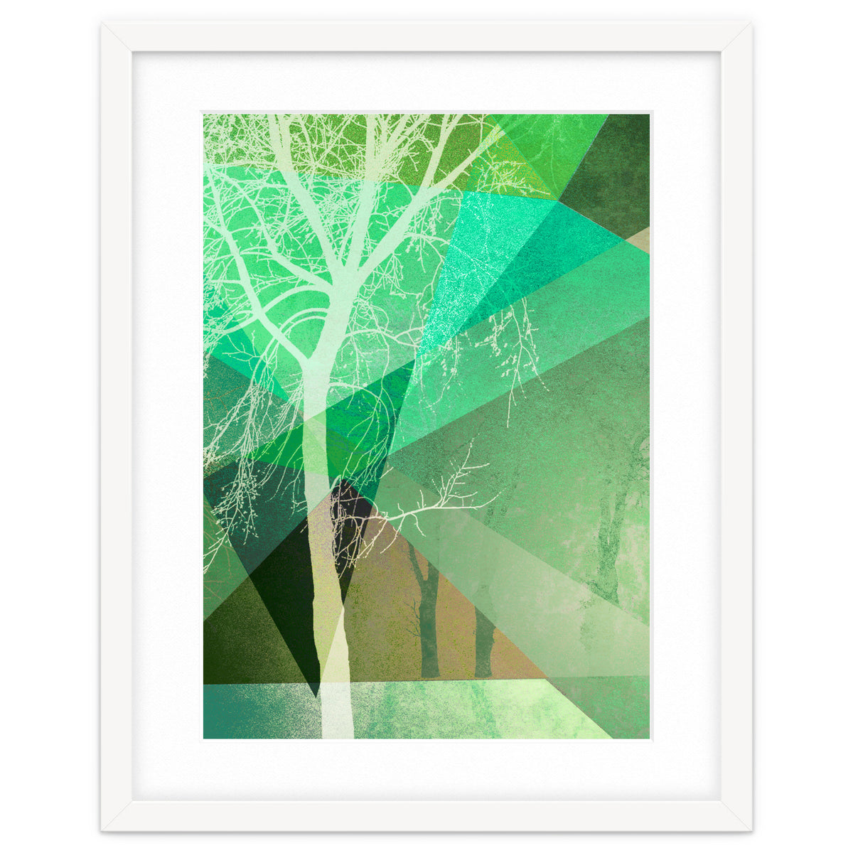 P22 B Trees And Triangles