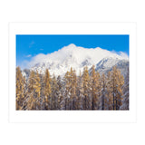 Cloudy Crown (Print Only) thumbnail