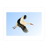 White Stork Bird Low Poly Art (Print Only) thumbnail