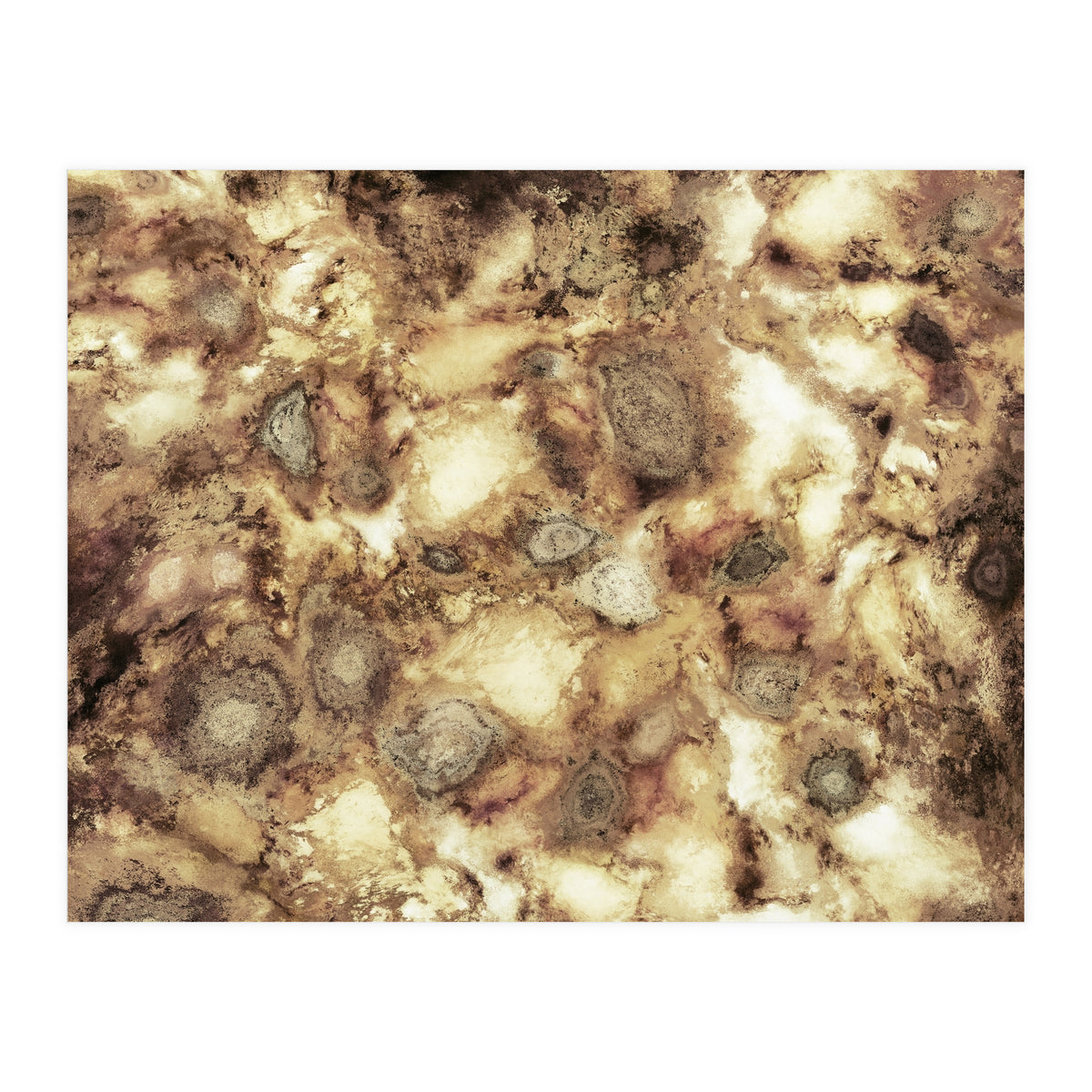 The Hard Crash (Print Only)