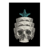 teschio (Print Only) thumbnail