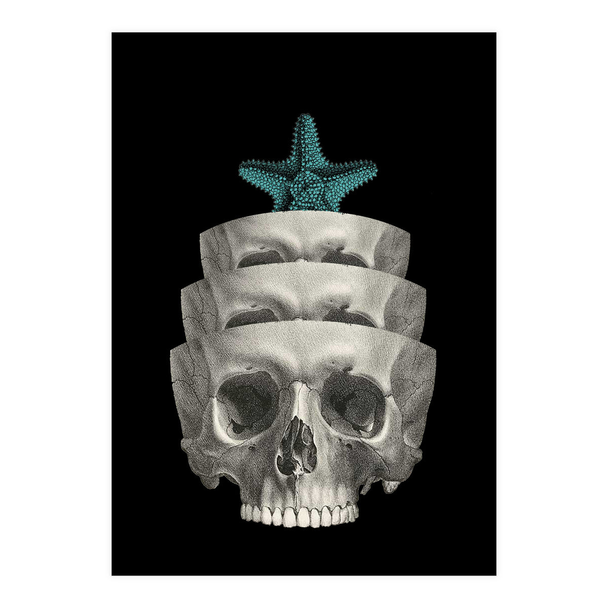 teschio (Print Only)