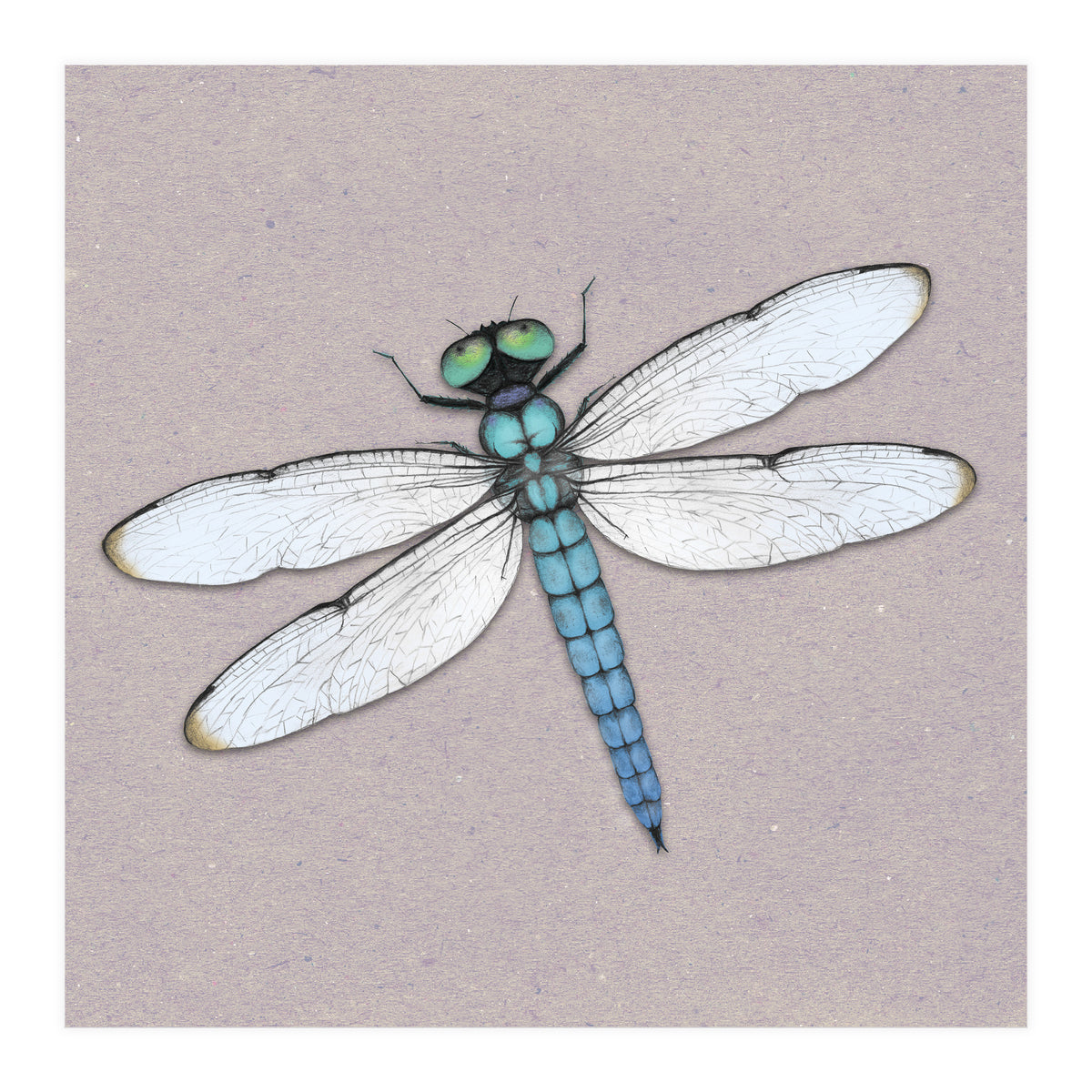 Blue dragonfly (Print Only)
