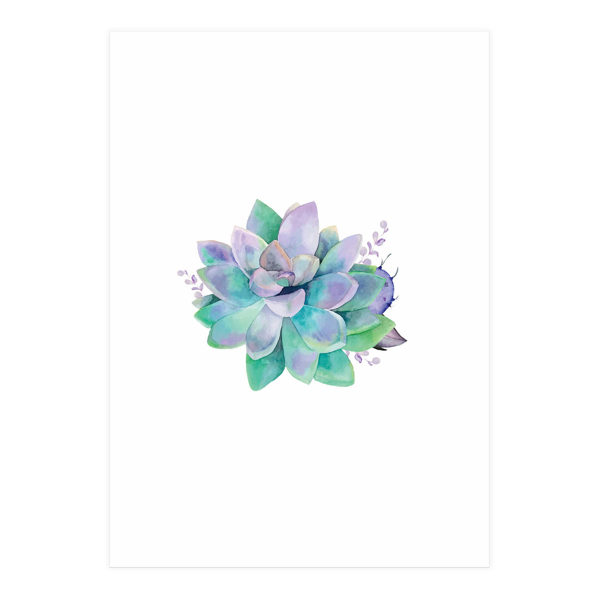 Aqua Succulent (Print Only)