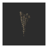 Moody Golden Botanicals - Square (Print Only) thumbnail