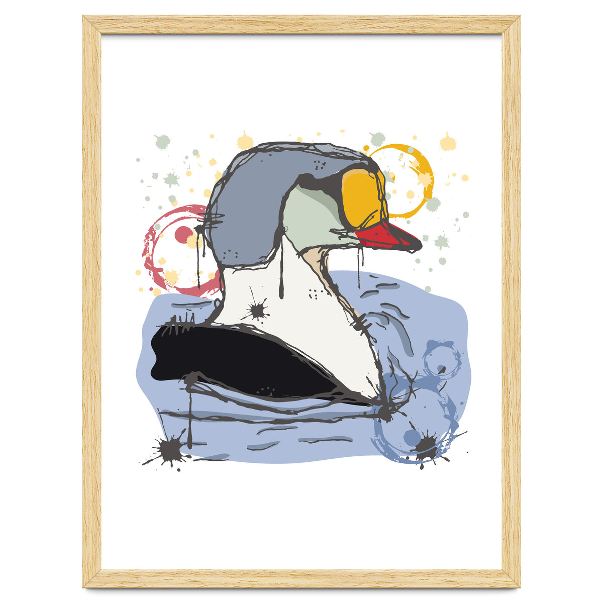 Male King Eider Duck Sketch