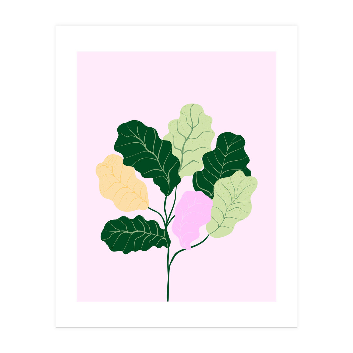 Figleaf (Print Only)