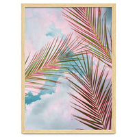 Palms + Sky