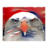 Bald Eagle (Print Only) thumbnail