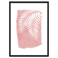 Palm Leaves On Pink