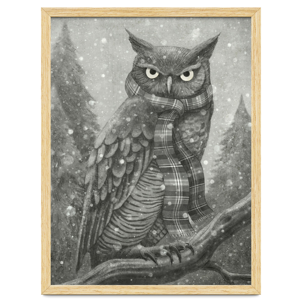 Winter Owl