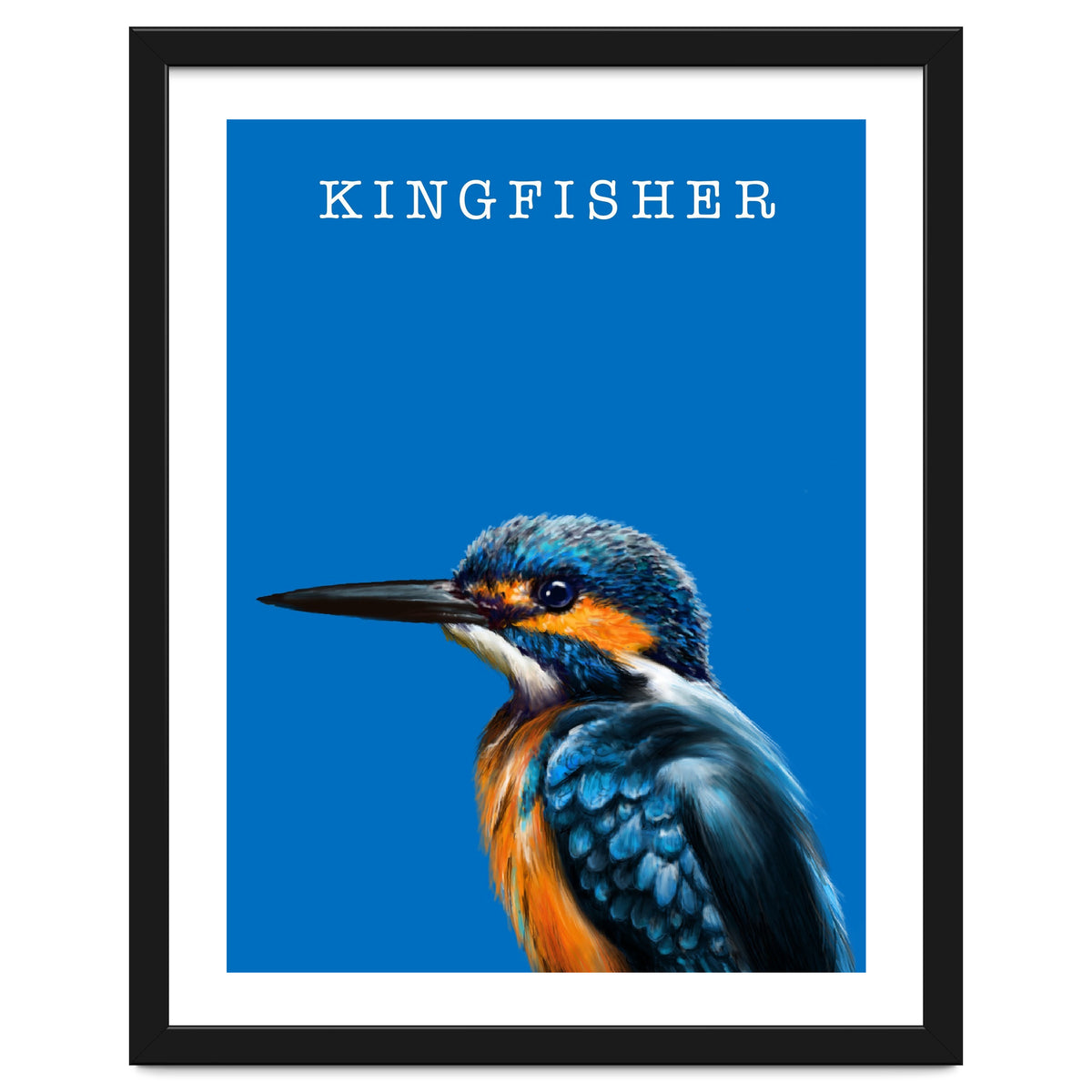 Kingfisher