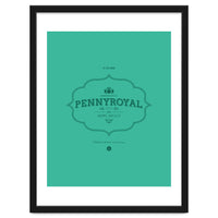 Pennyroyal Tea