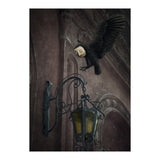 Lumieres (Print Only) thumbnail