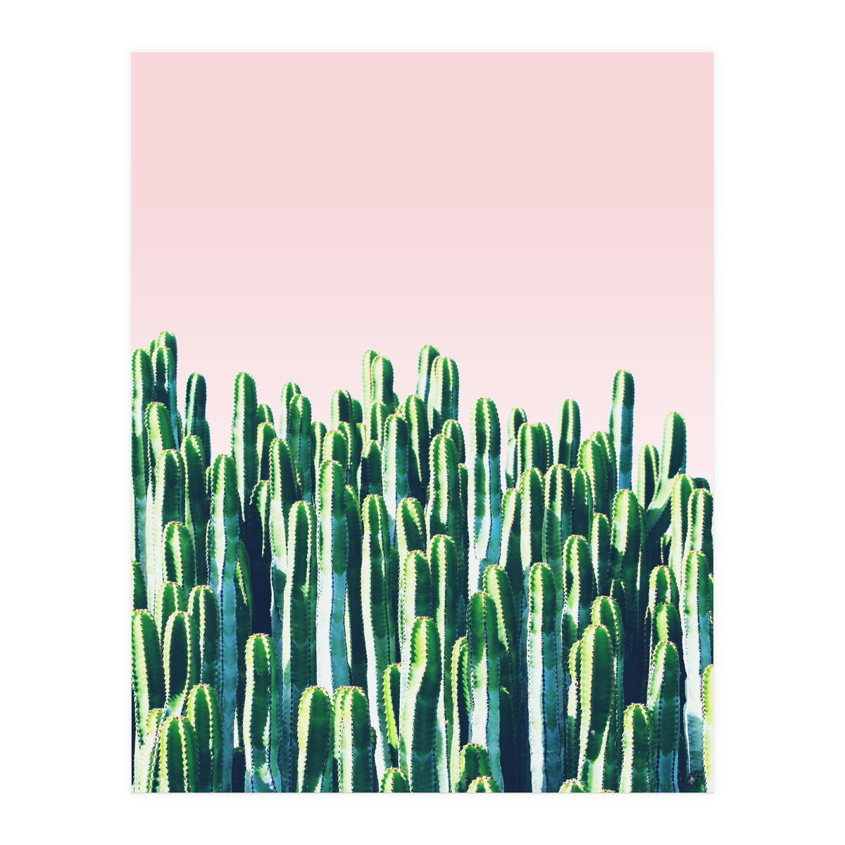 Cactus & Sunset I (Print Only)