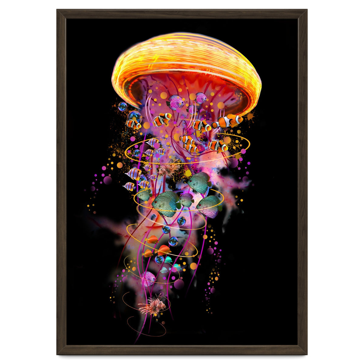 Jelly Fish Ride Summer2018 Dbh