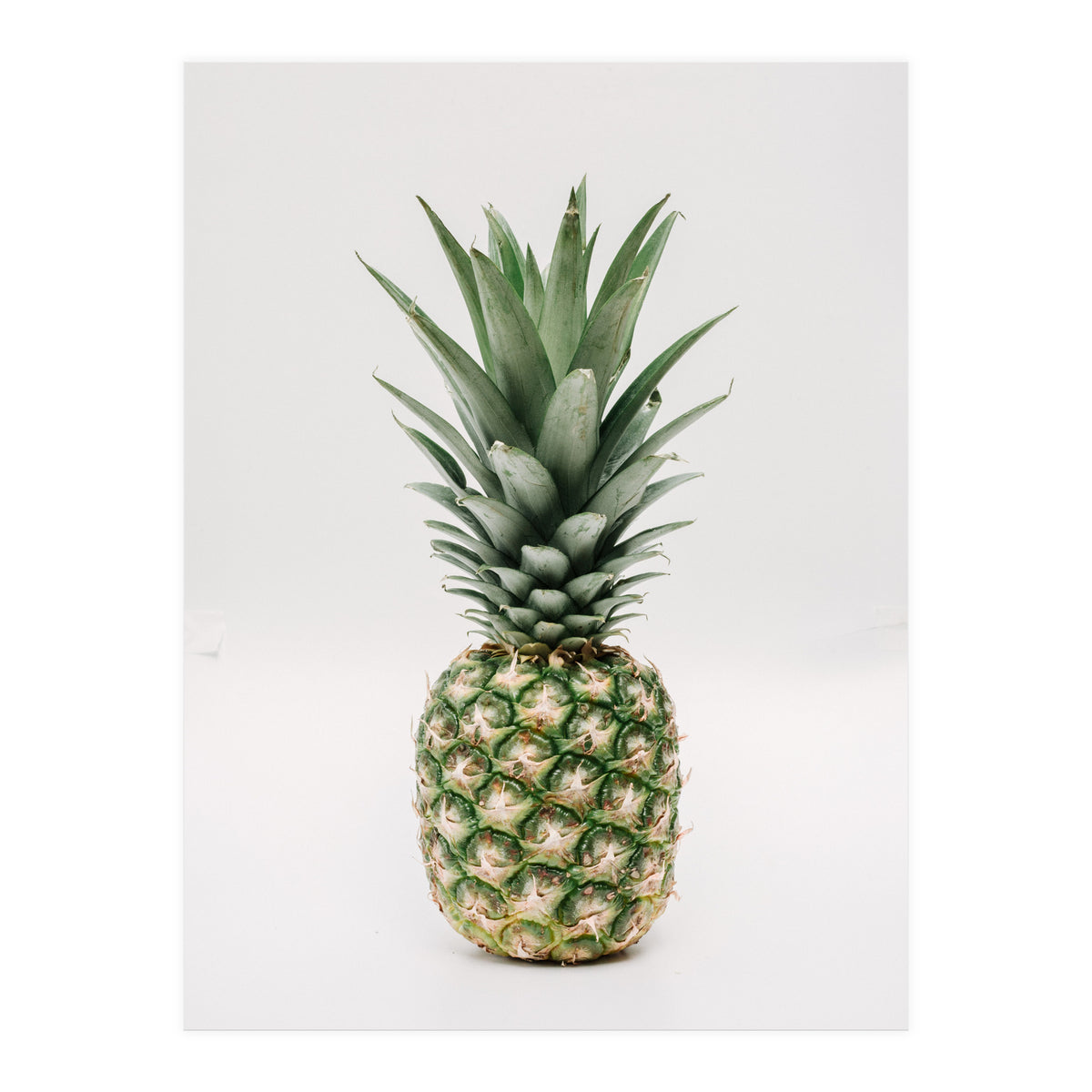 Pineapple (Print Only)