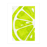 Citrus Collection No2 (Print Only) thumbnail