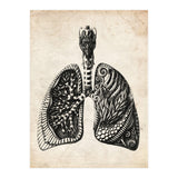 Lungs Anatomy (Print Only) thumbnail