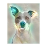 Doggie (Print Only) thumbnail