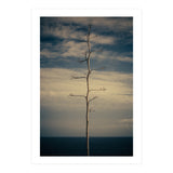 SEA AND TREE (Print Only) thumbnail