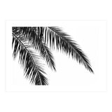 Palm Leaves (Print Only) thumbnail